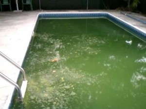 Brick Township Pool PumpOut